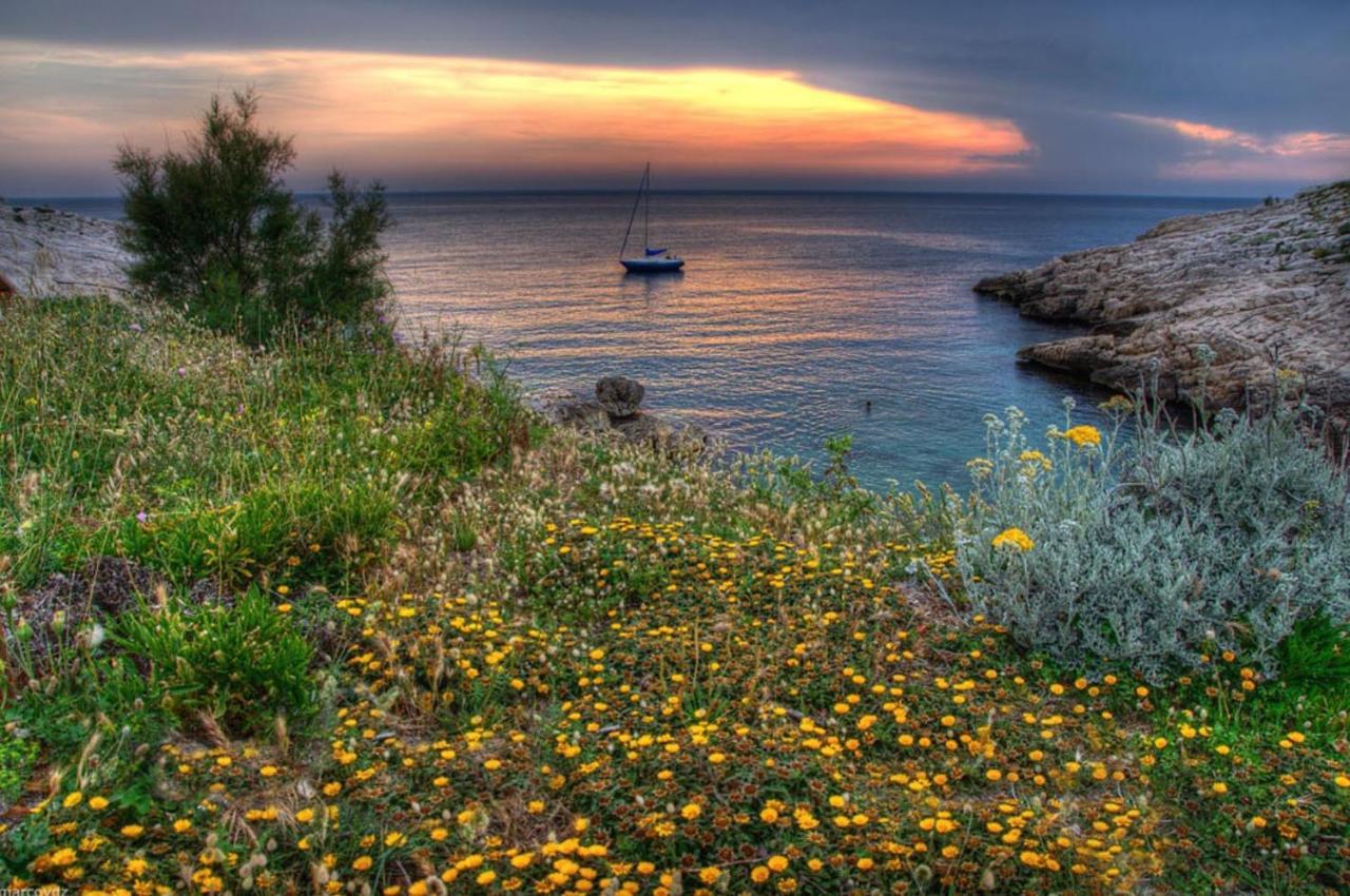 Bed and Breakfast La Petite Calanque Marseilles Exterior foto