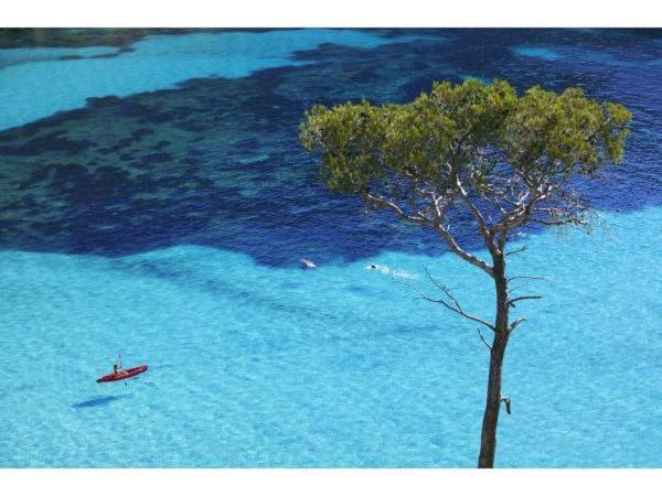 Bed and Breakfast La Petite Calanque Marseilles Exterior foto